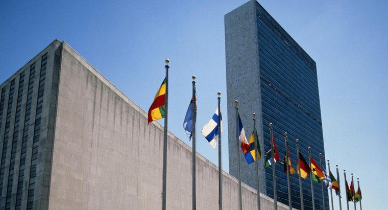 De ce a fost formată Națiunile Unite?