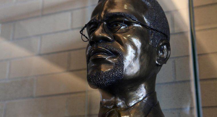 Ce este Malcolm X celebru?