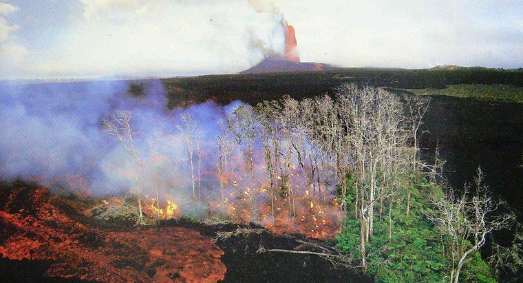 Câți oameni au murit în Erupția Kilauea?