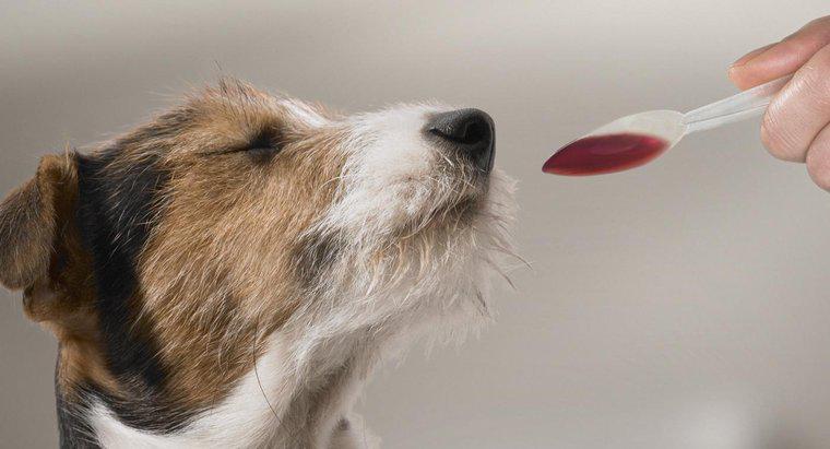 Care este dozele recomandate de Benadryl pentru câini?