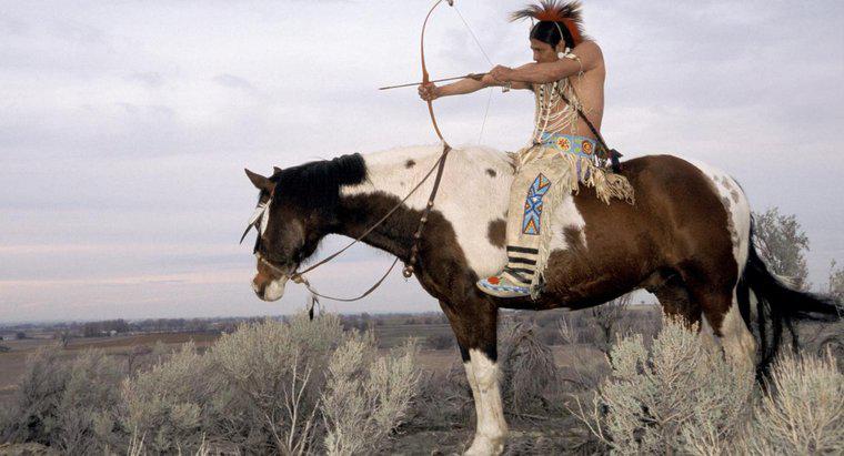 Ce arme au fost folosite de indienii Blackfoot?