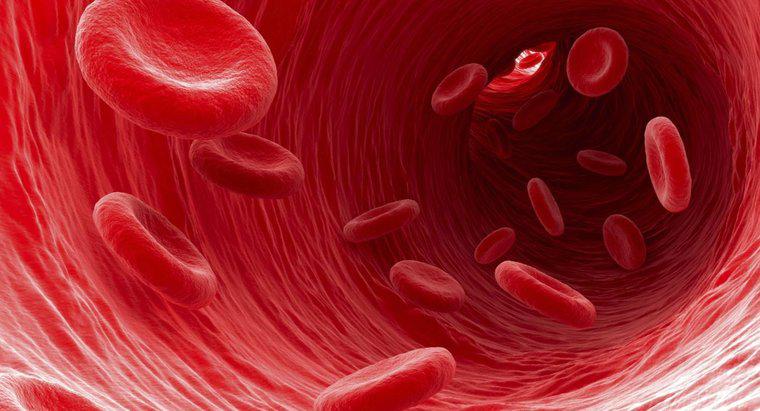 Ce se întâmplă dacă aveți prea multe celule roșii din sânge?