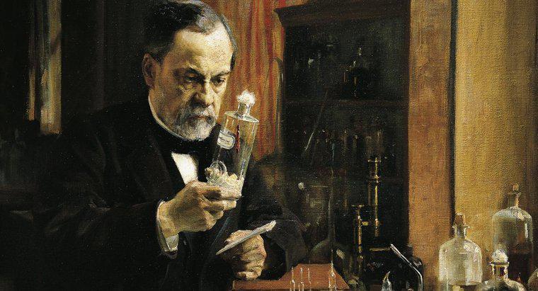 Louis Pasteur avea vreun frați sau surori?