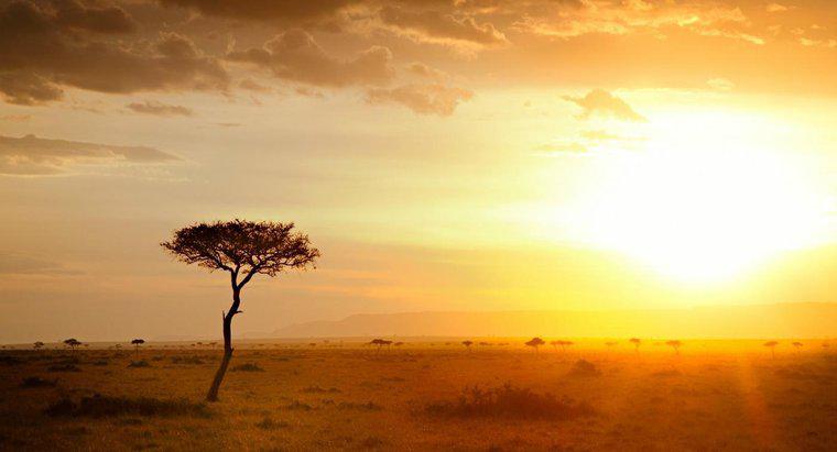 Care este climatul din Africa?