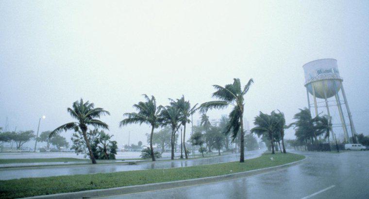 Care sunt principalele părți ale uraganului?