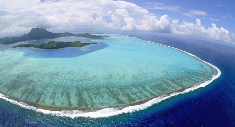 Ce este o insulă coral în formă de inel?