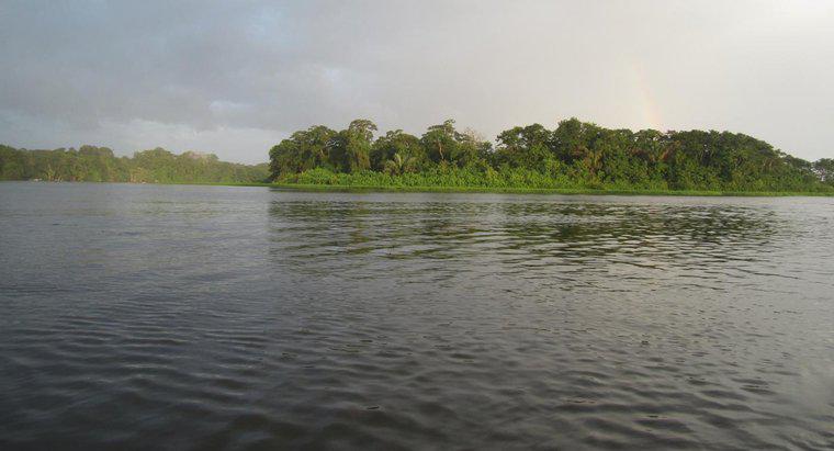 De ce este important râul Amazon?