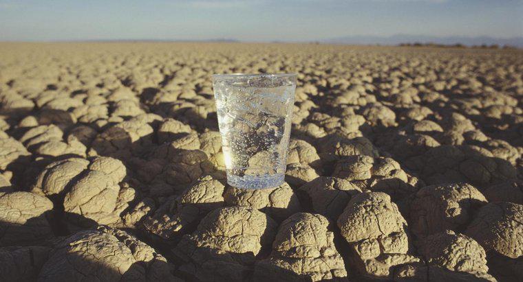 Câte zile poate omul să supraviețuiască fără apă?