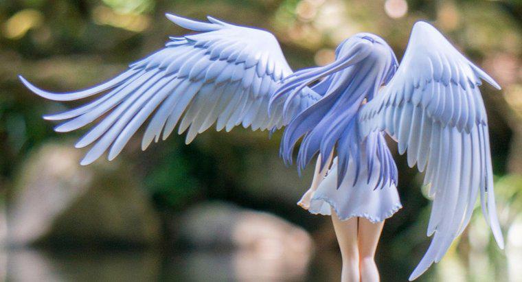 Ce simbolizează îngerul din Wings?