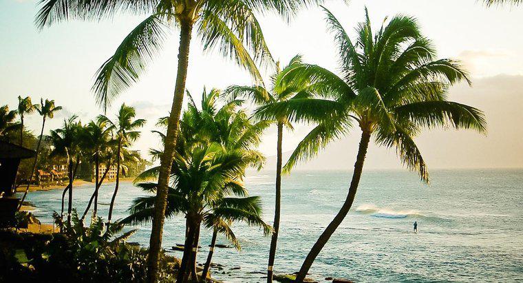 Care sunt unele fapte despre Hawaii?