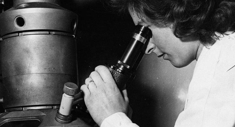 Cine a inventat microscopul electronic?