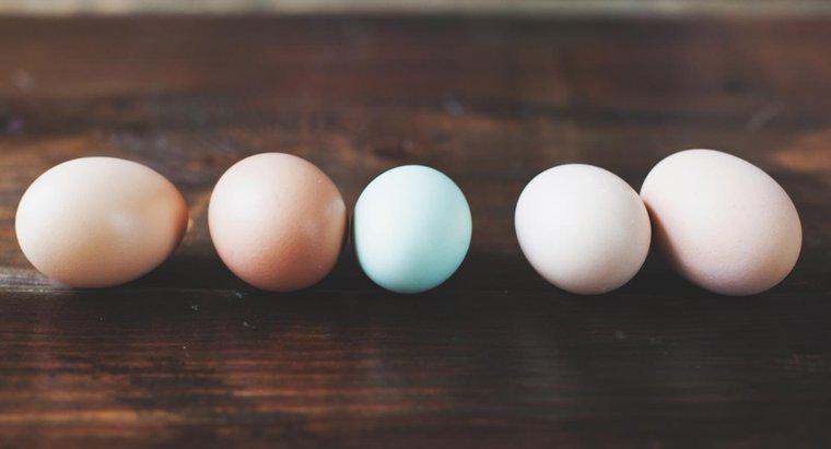 Cât de mult cântă un ou?