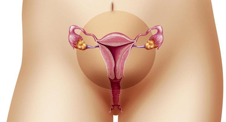 Care este intervalul normal pentru grosimea endometrului?