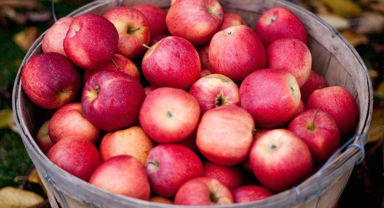 Cât de multe mere ia pentru a crea 1 galon de cidru de mere?