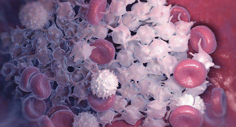 Ce cauzează trombocite de sânge ridicat?