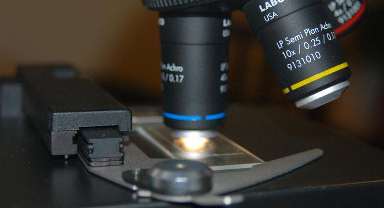 Ce este o diafragmă pe un microscop?