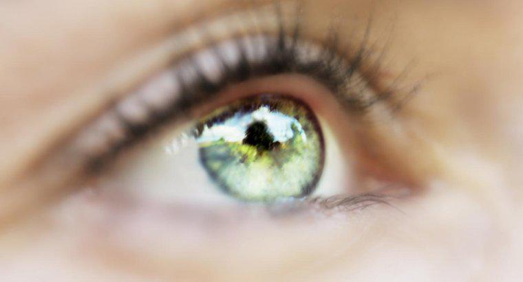 Ce reglează cantitatea de lumină care intră în ochi?