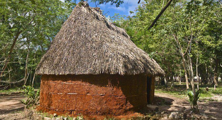 Cum au făcut mayașii lor adăpostul?