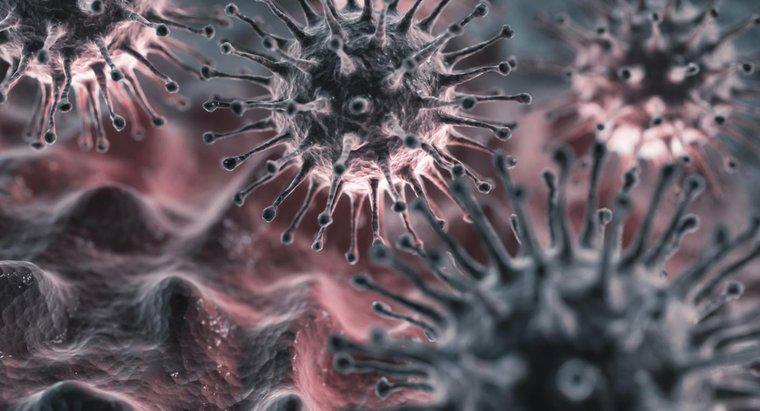 Care este perioada de incubare pentru virusul gripal?