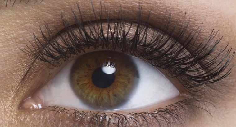 Care procentaj din populație are ochi bruni?