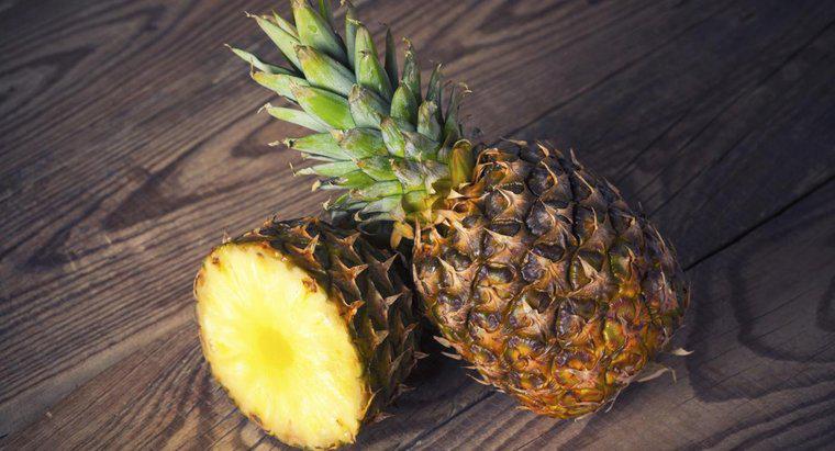 Cum cresc o plantă de ananas dintr-un ananas?