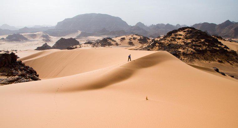 Cum navigați în deșert?