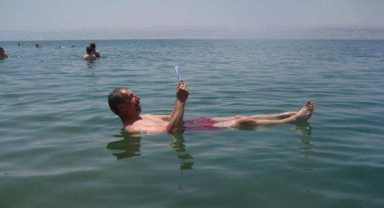 Există ceva care trăiește în Marea Moartă?