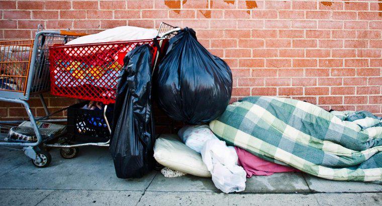 Câți oameni devin fără adăpost în fiecare an?