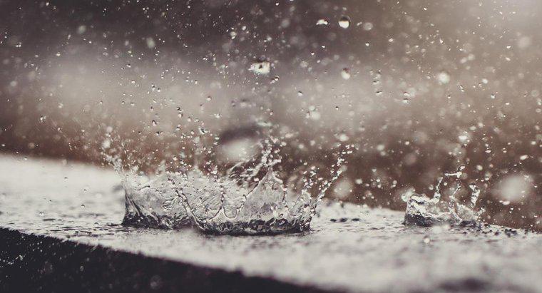 Unde puteți găsi totalul precipitațiilor zilnice zilnice?