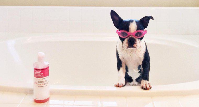 Șamponul pentru bebeluși poate fi folosit pe un câine?