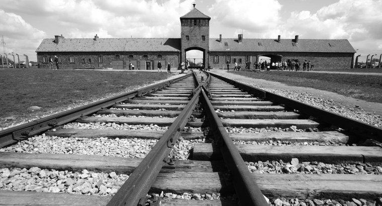 Unde a avut loc Holocaustul?