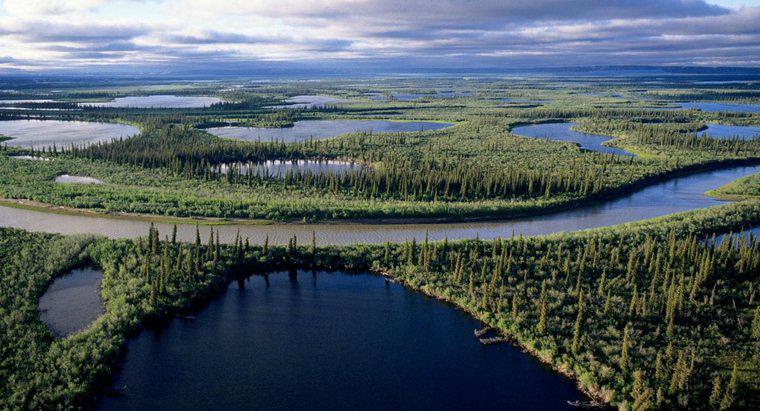 Care este cel mai lung râu din Canada?