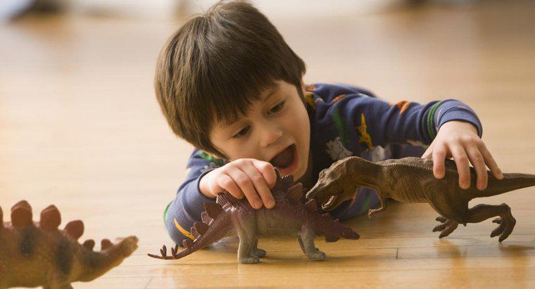 Care a fost durata de viata a unui Stegosaurus?