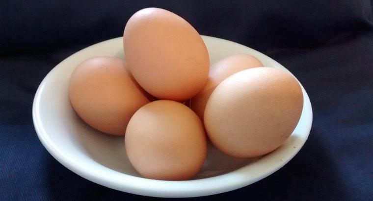 De ce sunt făcute ouăle de pui?