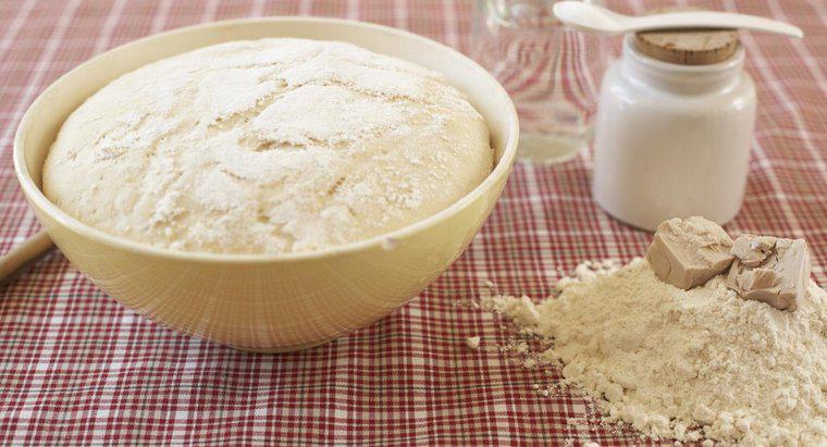 De ce este folosită drojdia în procesul de fabricare a pâinii?