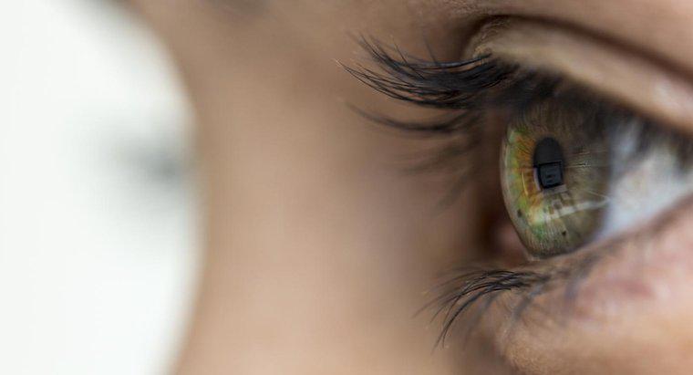 Care sunt simptomele șoldului la nivelul ochiului?