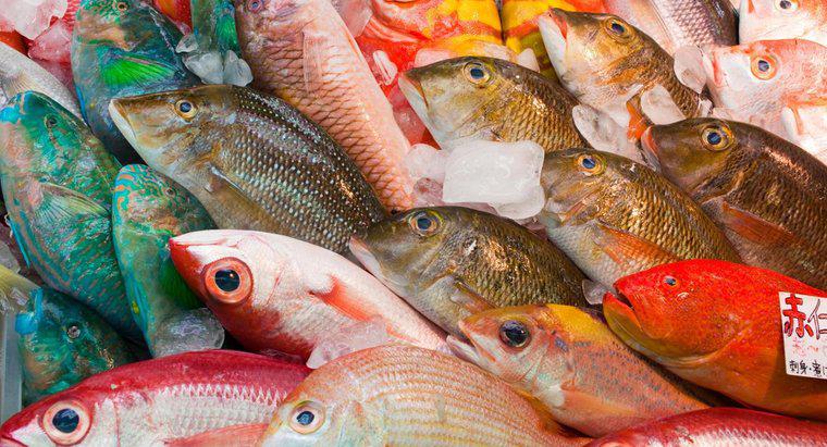 Care este cel mai larg consumat pește din lume?