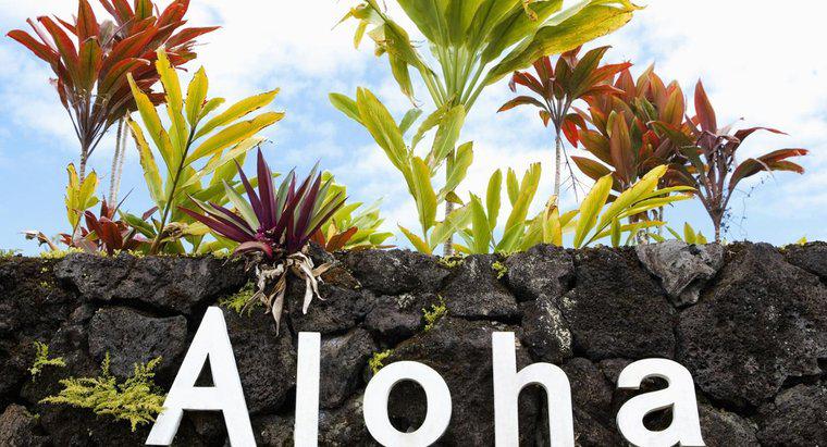 Câte litere sunt în alfabetul hawaian?