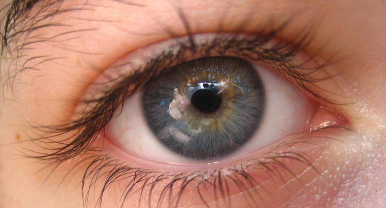 Cât de rare sunt ochii gri?