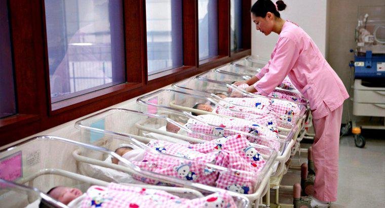 Care este cea mai mare cantitate de bebeluși nascuți într-o singură naștere?