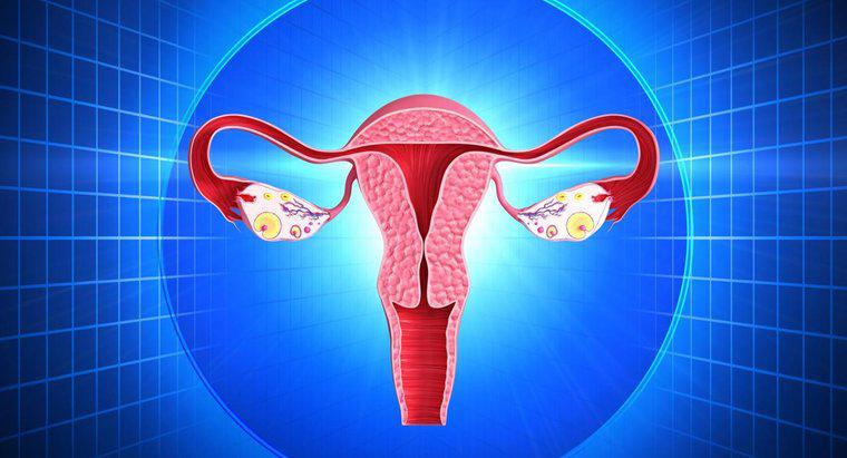 Ce este un "uter masiv"?