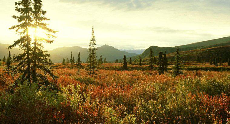 Care sunt preocupările ecologice și ecologice ale Tundra Biome?