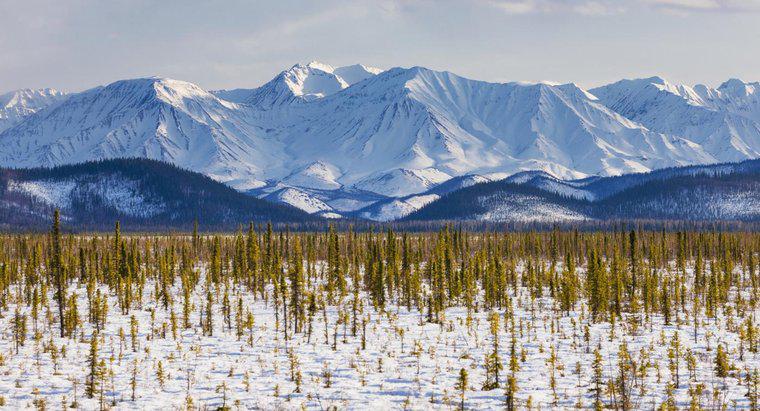 Oamenii trăiesc în Tundra?