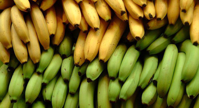 Cât de multe uncii este o banană medie?