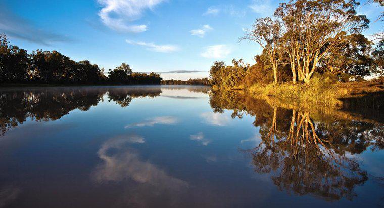 Cât timp este cel mai lung râu din Australia?