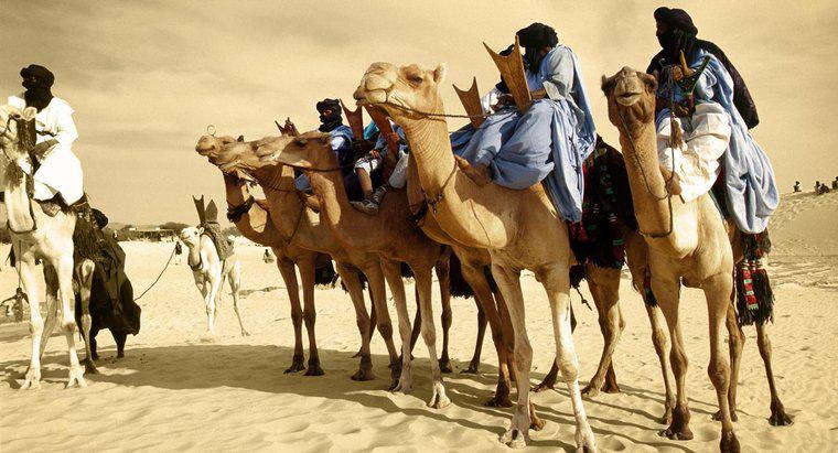 Oare cineva trăiește în deșertul Sahara?