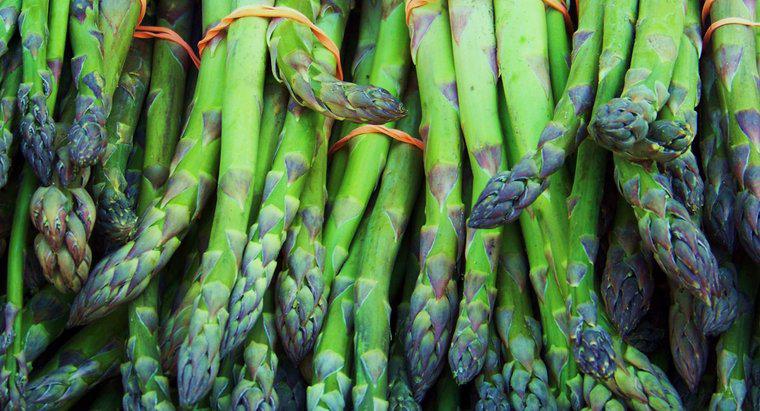 De unde vine Asparagusul?