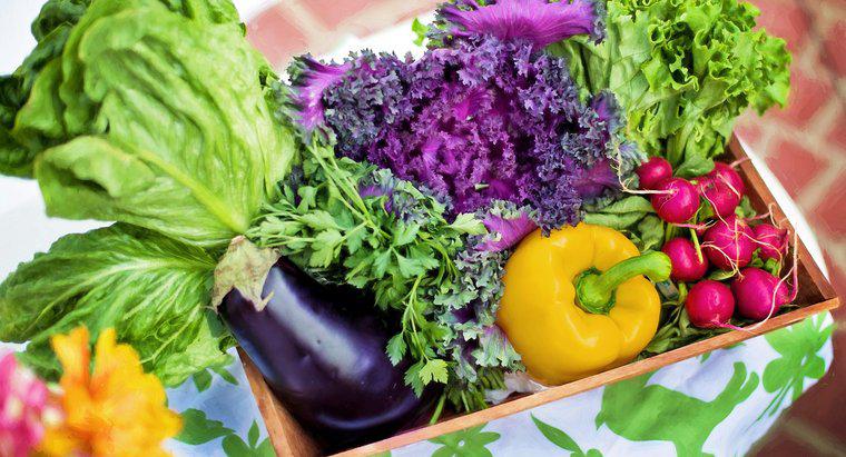 Dieta și sănătatea: o dietă bazată pe plante