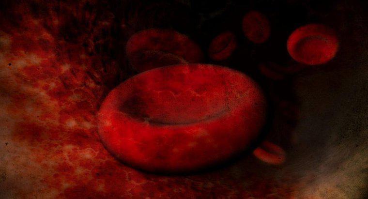 Care este cauza celulelor sanguine roșii mărită?
