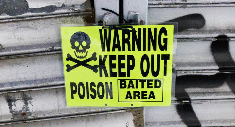 Cum Poison Rat Affects oamenii?